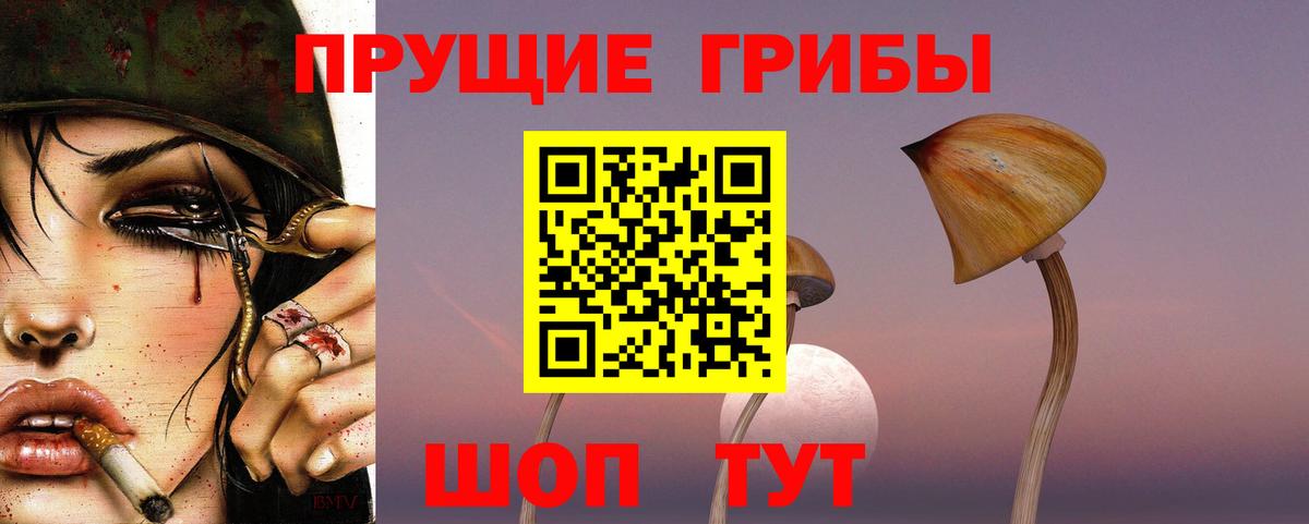 Псилоцибиновые грибы Cubensis  Вход с VPN  продажа наркотиков  Карабулак 