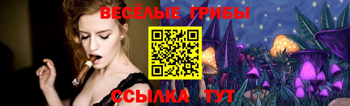 Галлюциногенные грибы ЛСД Карабулак